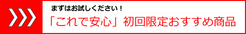 模型初回限定おすすめ商品